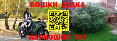 меф Лесосибирск