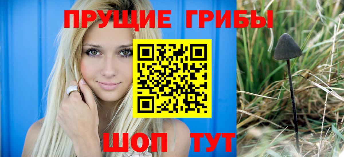 Псилоцибиновые грибы мицелий Химки