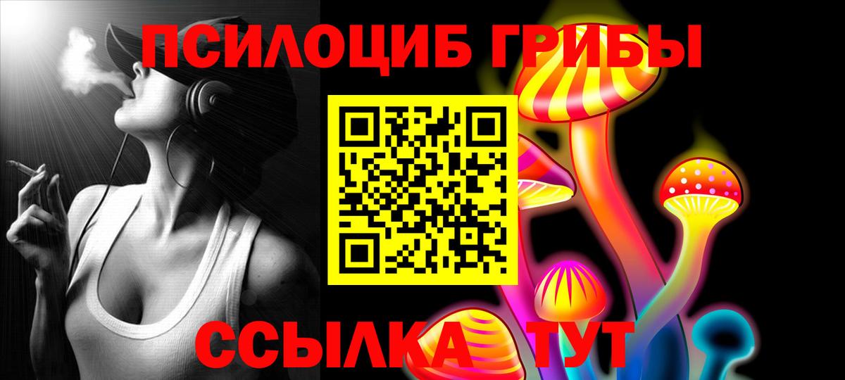 Галлюциногенные грибы MAGIC MUSHROOMS  Вход с VPN  Химки 